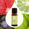 image:imagePlant Therapy Brain Aid Essential Oil Blend 10 mL 13 oz 100 Pure amp Undiluted Aromatherapy for Focus Concentration amp Mental Clarity033 Fl Oz Pack of 1