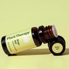 image:imagePlant Therapy Brain Aid Essential Oil Blend 10 mL 13 oz 100 Pure amp Undiluted Aromatherapy for Focus Concentration amp Mental Clarity033 Fl Oz Pack of 1