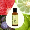 image:imagePlant Therapy Brain Aid Essential Oil Blend 10 mL 13 oz 100 Pure amp Undiluted Aromatherapy for Focus Concentration amp Mental Clarity1 Fl Oz Pack of 1