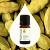 image:imagePlant Therapy Cardamom Essential Oil 5 mL 16 oz 100 Pure Undiluted Aromatherapy Warm Cozy Scent Digestive Support016 Fl Oz Pack of 1