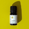 image:imagePlant Therapy Cardamom Essential Oil 5 mL 16 oz 100 Pure Undiluted Aromatherapy Warm Cozy Scent Digestive Support016 Fl Oz Pack of 1
