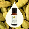 image:imagePlant Therapy Cardamom Essential Oil 5 mL 16 oz 100 Pure Undiluted Aromatherapy Warm Cozy Scent Digestive Support033 Fl Oz Pack of 1