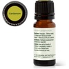 image:imagePlant Therapy Cardamom Essential Oil 5 mL 16 oz 100 Pure Undiluted Aromatherapy Warm Cozy Scent Digestive Support033 Fl Oz Pack of 1