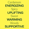 image:imagePlant Therapy Cardamom Essential Oil 5 mL 16 oz 100 Pure Undiluted Aromatherapy Warm Cozy Scent Digestive Support033 Fl Oz Pack of 1
