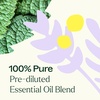 image:imagePlant Therapy Chakra 5 True Expression Essential Oil Blend Throat Chakra PreDiluted RollOn 10 mL 13 oz 100 PureTrue Expression  True Expression