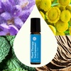 image:imagePlant Therapy Chakra 5 True Expression Essential Oil Blend Throat Chakra PreDiluted RollOn 10 mL 13 oz 100 PureTrue Expression  True Expression