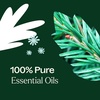 image:imagePlant Therapy Christmas Tree Holiday Essential Oil Blend for Essential Oil Diffuser DIY Candles Room Spray Bath Salts Gifts amp More 100 Pure Undiluted Natural 10 mL 13 ozChristmas Tree