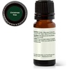 image:imagePlant Therapy Christmas Tree Holiday Essential Oil Blend for Essential Oil Diffuser DIY Candles Room Spray Bath Salts Gifts amp More 100 Pure Undiluted Natural 10 mL 13 ozChristmas Tree