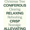 image:imagePlant Therapy Christmas Tree Holiday Essential Oil Blend for Essential Oil Diffuser DIY Candles Room Spray Bath Salts Gifts amp More 100 Pure Undiluted Natural 10 mL 13 ozChristmas Tree