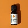 image:imagePlant Therapy Cinnamon Leaf Essential Oil 10 mL 13 oz 100 Pure Undiluted Aromatherapy Cozy Scent Sore Muscle Relief034 Fl Oz Pack of 1