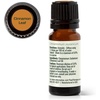 image:imagePlant Therapy Cinnamon Leaf Essential Oil 10 mL 13 oz 100 Pure Undiluted Aromatherapy Cozy Scent Sore Muscle Relief034 Fl Oz Pack of 1
