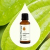 image:imagePlant Therapy Cinnamon Leaf Essential Oil 10 mL 13 oz 100 Pure Undiluted Aromatherapy Cozy Scent Sore Muscle Relief1 Fl Oz Pack of 1