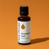 image:imagePlant Therapy Cinnamon Leaf Essential Oil 10 mL 13 oz 100 Pure Undiluted Aromatherapy Cozy Scent Sore Muscle Relief1 Fl Oz Pack of 1
