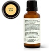 image:imagePlant Therapy Citrus Burst Essential Oil Blend 30 mL 1 oz Made with 100 Pure Essential Oils Uplifting and Bright Scent Great for Essential Oil DiffusersCitrus