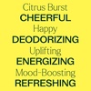 image:imagePlant Therapy Citrus Burst Essential Oil Blend 30 mL 1 oz Made with 100 Pure Essential Oils Uplifting and Bright Scent Great for Essential Oil DiffusersCitrus