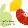 image:imagePlant Therapy Citrus Burst Essential Oil Blend 30 mL 1 oz Made with 100 Pure Essential Oils Uplifting and Bright Scent Great for Essential Oil DiffusersCitrus