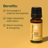 image:imagePlant Therapy Citrus Burst Essential Oil Blend 30 mL 1 oz Made with 100 Pure Essential Oils Uplifting and Bright Scent Great for Essential Oil DiffusersCitrus