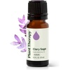 image:imagePlant Therapy Clary Sage Essential Oil 10 mL 13 oz 100 Pure Undiluted034 Fl Oz Pack of 1