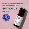 image:imagePlant Therapy Clary Sage Essential Oil 10 mL 13 oz 100 Pure Undiluted034 Fl Oz Pack of 1