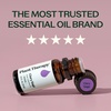 image:imagePlant Therapy Clary Sage Essential Oil 10 mL 13 oz 100 Pure Undiluted034 Fl Oz Pack of 1