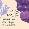 image:imagePlant Therapy Clary Sage Essential Oil 10 mL 13 oz 100 Pure Undiluted1 Fl Oz Pack of 1