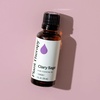 image:imagePlant Therapy Clary Sage Essential Oil 10 mL 13 oz 100 Pure Undiluted1 Fl Oz Pack of 1