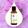 image:imagePlant Therapy Clary Sage Essential Oil 10 mL 13 oz 100 Pure Undiluted1 Fl Oz Pack of 1