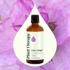 image:imagePlant Therapy Clary Sage Essential Oil 10 mL 13 oz 100 Pure Undiluted33 Fl Oz Pack of 1