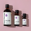 image:imagePlant Therapy Clary Sage Essential Oil 10 mL 13 oz 100 Pure Undiluted33 Fl Oz Pack of 1