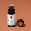 image:imagePlant Therapy Coffee Essential Oil 30 mL 1 oz 100 Pure Undiluted Natural Aromatherapy Rich Cozy Aroma033 Fl Oz Pack of 1