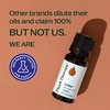 image:imagePlant Therapy Coffee Essential Oil 30 mL 1 oz 100 Pure Undiluted Natural Aromatherapy Rich Cozy Aroma033 Fl Oz Pack of 1