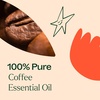 image:imagePlant Therapy Coffee Essential Oil 30 mL 1 oz 100 Pure Undiluted Natural Aromatherapy Rich Cozy Aroma1 Fl Oz Pack of 1
