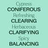 image:imagePlant Therapy Cypress Essential Oil 30 mL 1 oz 100 Pure Undiluted Aromatherapy Fresh Scent Respiratory Support033 Fl Oz Pack of 1
