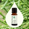 image:imagePlant Therapy Cypress Essential Oil 30 mL 1 oz 100 Pure Undiluted Aromatherapy Fresh Scent Respiratory Support033 Fl Oz Pack of 1