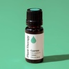 image:imagePlant Therapy Cypress Essential Oil 30 mL 1 oz 100 Pure Undiluted Aromatherapy Fresh Scent Respiratory Support033 Fl Oz Pack of 1