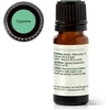 image:imagePlant Therapy Cypress Essential Oil 30 mL 1 oz 100 Pure Undiluted Aromatherapy Fresh Scent Respiratory Support033 Fl Oz Pack of 1