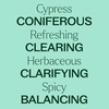 image:imagePlant Therapy Cypress Essential Oil 30 mL 1 oz 100 Pure Undiluted Aromatherapy Fresh Scent Respiratory Support1 Fl Oz Pack of 1