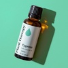 image:imagePlant Therapy Cypress Essential Oil 30 mL 1 oz 100 Pure Undiluted Aromatherapy Fresh Scent Respiratory Support1 Fl Oz Pack of 1