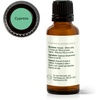 image:imagePlant Therapy Cypress Essential Oil 30 mL 1 oz 100 Pure Undiluted Aromatherapy Fresh Scent Respiratory Support1 Fl Oz Pack of 1