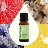 image:imagePlant Therapy Defender Blend 30 mL 1 oz 100 Pure Undiluted Blend of Uplifting and Immune Supporting Essential OilsBottle