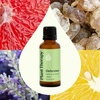 image:imagePlant Therapy Defender Blend 30 mL 1 oz 100 Pure Undiluted Blend of Uplifting and Immune Supporting Essential OilsBottle