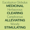 image:imagePlant Therapy Eucalyptus PreDiluted Essential Oil RollOn 10mL 13 oz 100 Pure for Clear Breathing Aromatherapy and Topical Use033 Fl Oz Pack of 1