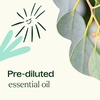image:imagePlant Therapy Eucalyptus PreDiluted Essential Oil RollOn 10mL 13 oz 100 Pure for Clear Breathing Aromatherapy and Topical Use033 Fl Oz Pack of 1