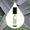 image:imagePlant Therapy Eucalyptus PreDiluted Essential Oil RollOn 10mL 13 oz 100 Pure for Clear Breathing Aromatherapy and Topical Use033 Fl Oz Pack of 1
