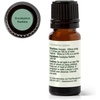 image:imagePlant Therapy Eucalyptus Radiata Essential Oil 10 mL 13 oz 100 Pure Undiluted for Aromatherapy Respiratory Support amp Focus033 Fl Oz Pack of 1