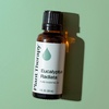 image:imagePlant Therapy Eucalyptus Radiata Essential Oil 10 mL 13 oz 100 Pure Undiluted for Aromatherapy Respiratory Support amp Focus1 Fl Oz Pack of 1