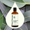 image:imagePlant Therapy Eucalyptus Radiata Essential Oil 10 mL 13 oz 100 Pure Undiluted for Aromatherapy Respiratory Support amp Focus33 Fl Oz Pack of 1