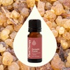 image:imagePlant Therapy Fantastic Franks Essential Oil Blend 10 mL 13 oz Made with 100 Pure Essential Oils Contains Frankinense Carterii Frereana Papyrifera and SacraFantastic Franks