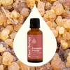 image:imagePlant Therapy Fantastic Franks Essential Oil Blend 10 mL 13 oz Made with 100 Pure Essential Oils Contains Frankinense Carterii Frereana Papyrifera and SacraFantastic Franks