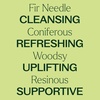 image:imagePlant Therapy Fir Needle Essential Oil 10 mL 13 oz 100 Pure Undiluted Fresh Scent Respiratory Support DIY Cleaners033 Fl Oz Pack of 1